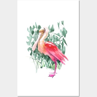 roseate spoonbill Posters and Art